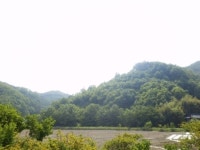 경매마당 경매정보 2019타경2802의 시세, 권리분석, 상세정보