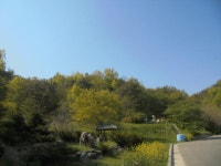 경매마당 경매정보 2020타경31974의 시세, 권리분석, 상세정보