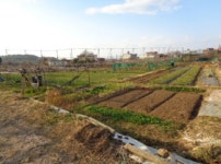 경매마당 경매정보 2021타경6319의 시세, 권리분석, 상세정보