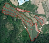 경매마당 경매정보 2022타경516의 시세, 권리분석, 상세정보