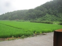 경매마당 경매정보 2022타경3058의 시세, 권리분석, 상세정보