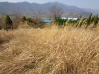 경매마당 경매정보 2022타경31817의 시세, 권리분석, 상세정보