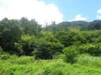 경매마당 경매정보 2022타경34168의 시세, 권리분석, 상세정보