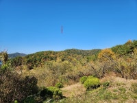 경매마당 경매정보 2022타경35796의 시세, 권리분석, 상세정보