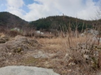 경매마당 경매정보 2021타경167의 시세, 권리분석, 상세정보