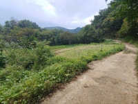 경매마당 경매정보 2021타경11495의 시세, 권리분석, 상세정보