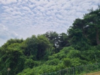 경매마당 경매정보 2022타경4968의 시세, 권리분석, 상세정보