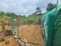 경매마당 경매정보 2021타경2707의 시세, 권리분석, 상세정보