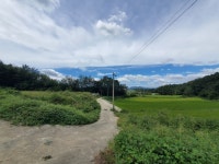 경매마당 경매정보 2022타경72169의 시세, 권리분석, 상세정보