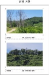 경매마당 경매정보 2021타경52291의 시세, 권리분석, 상세정보