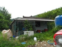 경매마당 경매정보 2021타경52291의 시세, 권리분석, 상세정보