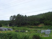 경매마당 경매정보 2021타경2264의 시세, 권리분석, 상세정보