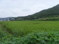 경매마당 경매정보 2021타경2707의 시세, 권리분석, 상세정보