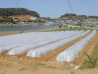 경매마당 경매정보 2022타경50994의 시세, 권리분석, 상세정보