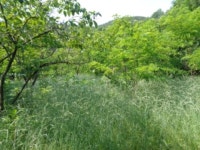 경매마당 경매정보 2021타경3781의 시세, 권리분석, 상세정보