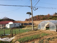 경매마당 경매정보 2021타경38121의 시세, 권리분석, 상세정보