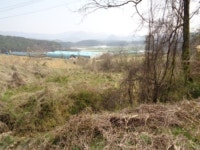 경매마당 경매정보 2022타경1263의 시세, 권리분석, 상세정보