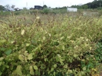 경매마당 경매정보 2022타경4798의 시세, 권리분석, 상세정보