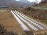 경매마당 경매정보 2022타경39398의 시세, 권리분석, 상세정보