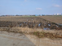 경매마당 경매정보 2019타경9253의 시세, 권리분석, 상세정보