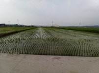 경매마당 경매정보 2021타경3333의 시세, 권리분석, 상세정보