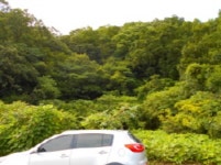 경매마당 경매정보 2021타경31676의 시세, 권리분석, 상세정보
