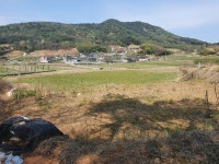 경매마당 경매정보 2022타경320의 시세, 권리분석, 상세정보