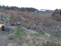 경매마당 경매정보 2021타경29032의 시세, 권리분석, 상세정보