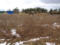 경매마당 경매정보 2022타경7244의 시세, 권리분석, 상세정보