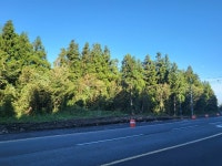 경매마당 경매정보 2022타경25532의 시세, 권리분석, 상세정보