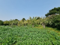 경매마당 경매정보 2023타경2154의 시세, 권리분석, 상세정보