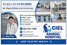 Ciel 동물병원 에서 닥터 조 와 한국어로 편안하게 상담 받으세요