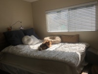 Roommate in DMC | looking for a female roommate - Torrance - 라디오코리아