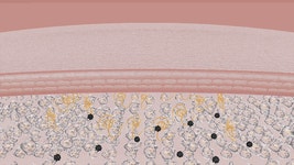 [퓨어턴28] 약국판매용 피그먼테이션 착색크림 미백 화이트닝 50ml(약국판매용) | (주)라온리테일 - 예스24 [퓨어턴28] 약국판매용... 