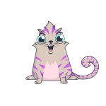 MacNutZ - Profile | OpenSea