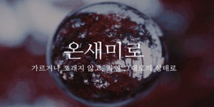 🚧데이터225.85MB,스압) 예쁜 순 우리말 모음.gif - DogDrip.Net 개드립