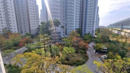 경기도 화성시 병점동 [매매] 6억 5000 쓰리룸(방:3/욕실:2) | 피터팬의 좋은방 구하기 경기도 화성시 병점동 [매매] 6억 5000 쓰리룸(방:3... 