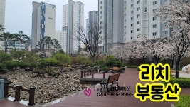 세종특별자치시 소담동 [매매] 8억 쓰리룸(방:3/욕실:2) | 피터팬의 좋은방 구하기 세종특별자치시 소담동 [매매] 8억 쓰리룸(방:3/욕실:2)
