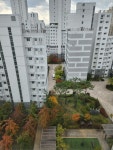 세종특별자치시 새롬동 [전세] 2억 2000 쓰리룸(방:3/욕실:2)... 좋은방 구하기 세종특별자치시 새롬동 [전세] 2억 2000 쓰리룸(방:3/욕실:2)