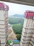 경상북도 포항시 북구 양덕동 [매매] 5억 2200 쓰리룸(방:3/욕실:2) | 피터팬의 좋은방 구하기 경상북도 포항시 북구 양덕동 [매매] 5억 2200... 