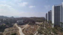 서울특별시 강동구 둔촌동 [매매] 45억 쓰리룸+(방:4/욕실:2) | 피터팬의 좋은방 구하기 서울특별시 강동구 둔촌동 [매매] 45억 쓰리룸+(방:4... 