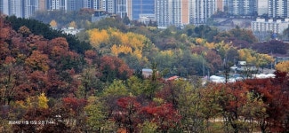 인천광역시 부평구 청천동 [매매] 5억 4500 쓰리룸(방:3/욕실:2)... 좋은방 구하기 인천광역시 부평구 청천동 [매매] 5억 4500 쓰리룸(방:3/욕실:2)