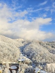 경기도 성남시 중원구 금광동 [전세] 4억 7000 투룸(방:2/욕실:2) | 피터팬의 좋은방 구하기 경기도 성남시 중원구 금광동 [전세] 4억 7000... 