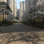 서울특별시 서초구 반포동 [전세] 16억 5000 쓰리룸(방:3/욕실:2)... 구하기 서울특별시 서초구 반포동 [전세] 16억 5000 쓰리룸(방:3/욕실:2)