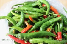 고추장아찌 - 딸에게# / 고추장아찌만드는법,장아찌간장활용