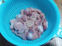 야식으로 딱! 쫄깃한 닭똥집 볶음 만들기