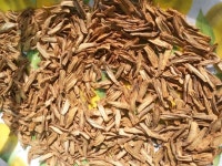 다이어트에 좋은 우엉차 만들기