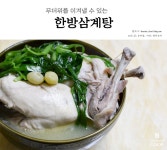 무더위를 이겨낼 수 있는 한방삼계탕