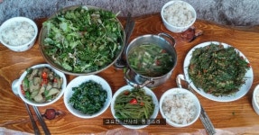 텃밭에서 키운 채소로 차린 건강한 식탁