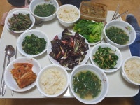 텃밭 채소로 차린 건강한 보약 밥상